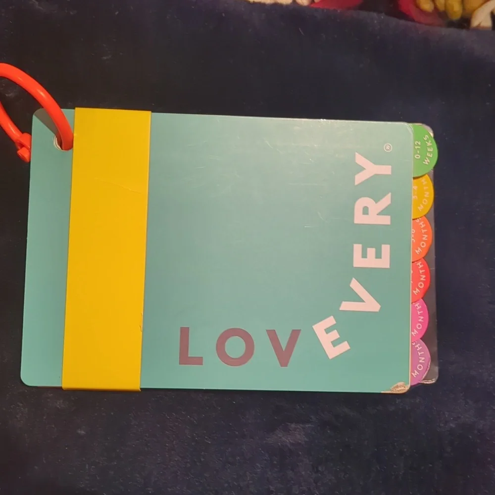 Lovevery Play Guide 0-12 M
